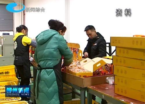 吃瓜最新事件柳州新闻网,揭秘吃瓜事件背后的真相与影响