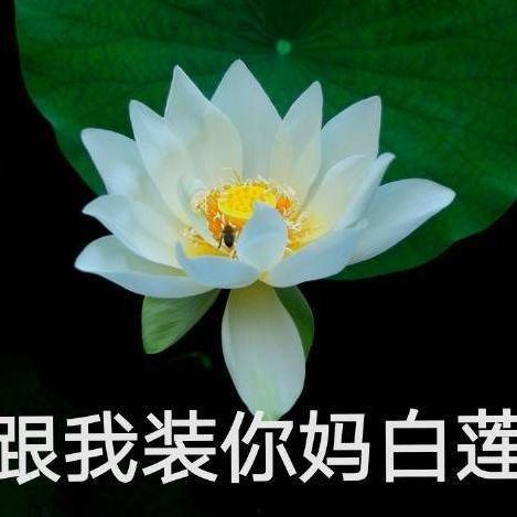 网红头像吃瓜视频素材,吃瓜视频背后的秘密大揭秘