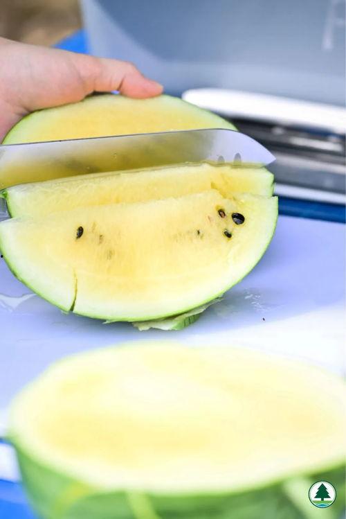 五吃瓜网,揭秘娱乐圈幕后故事，带你领略明星真实生活