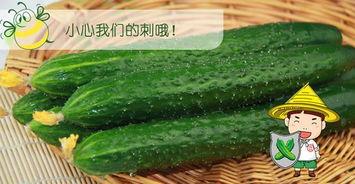 六六酱吃瓜网官网,带你领略网络吃瓜文化的魅力