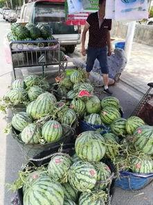 临淄探店网红吃瓜事件,揭秘探店背后的争议与真相