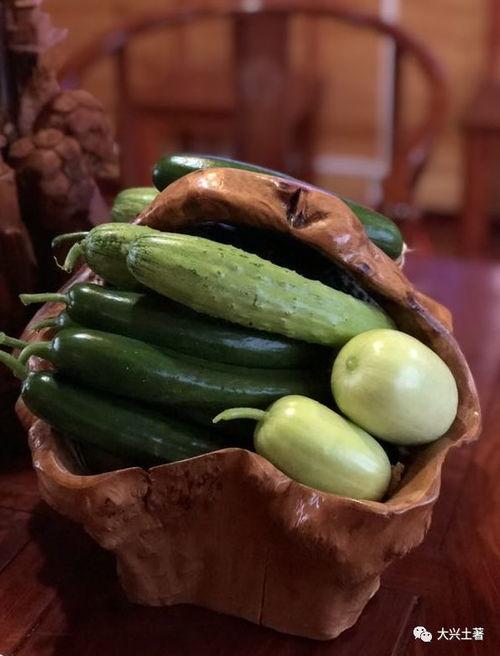 全网都在吃陇南网红的瓜