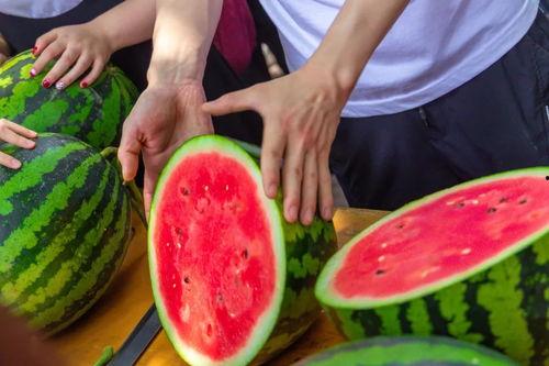 吉林大学网红吃瓜