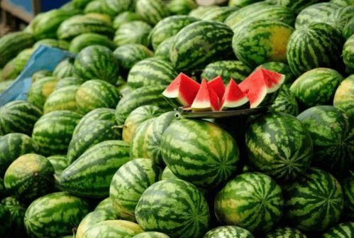 网红在线吃瓜免费网站,带你畅游娱乐资讯海洋