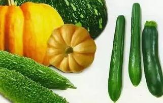 吃瓜网在哪下,吃瓜网在哪下，带你轻松获取热门资讯