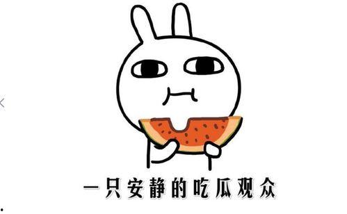 《吃瓜网》官方,吃瓜网带你领略明星幕后故事