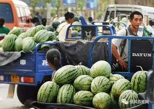 青岛男网红吃瓜,趣味横生引网友热议